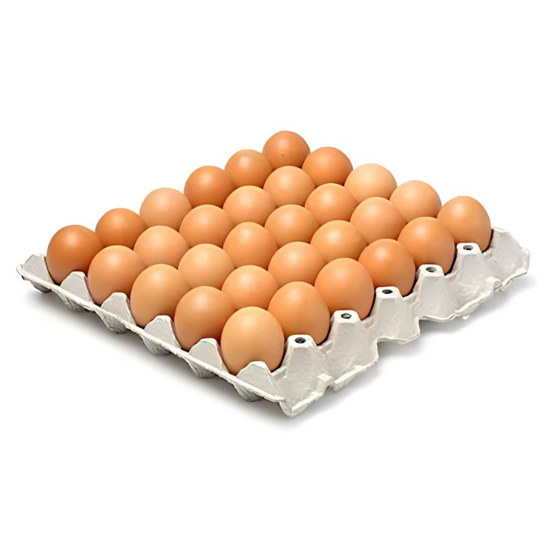 HUEVOS JUMBO